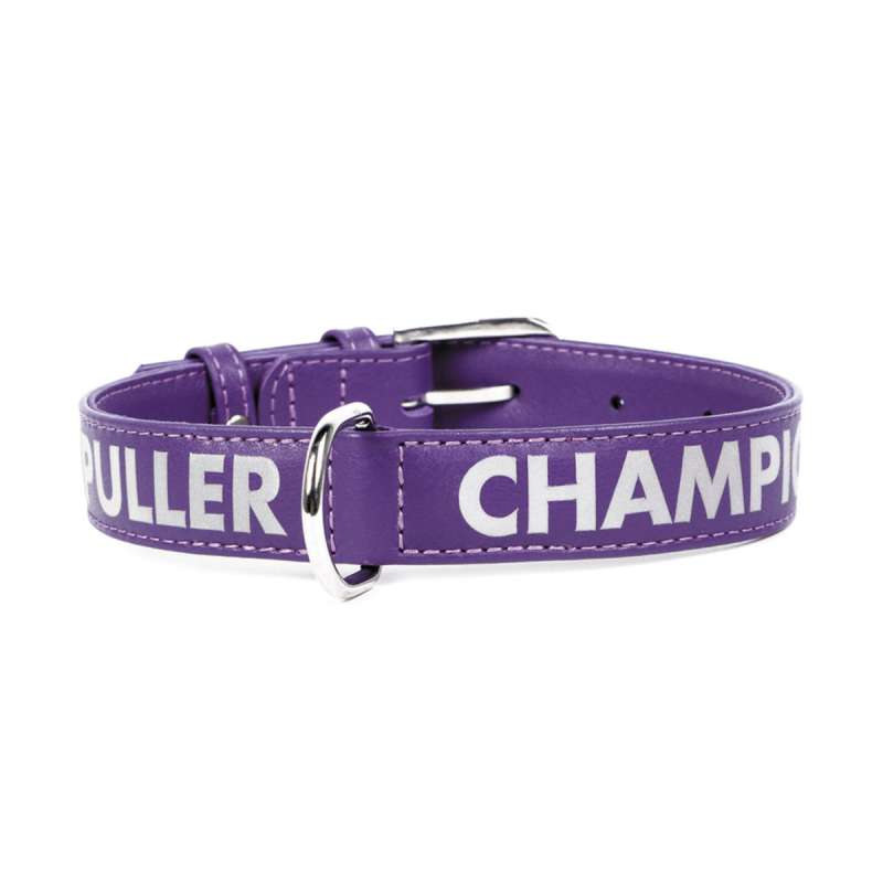 Нашийник DOG PULLER CHAMPION (ширина 20мм, довжина 30-39см) фіолетовий