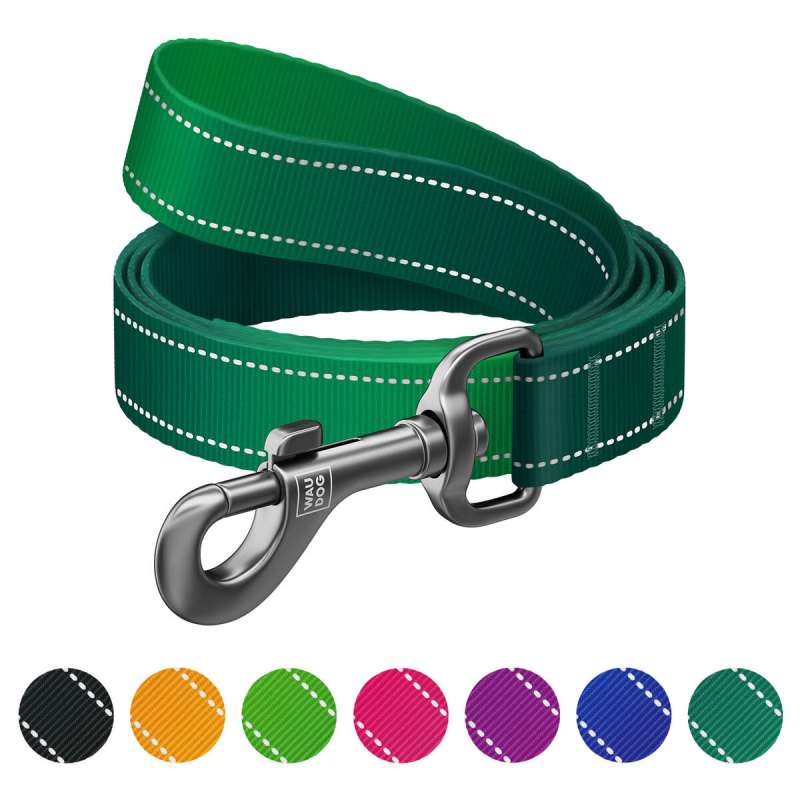 Повідець для собак нейлоновий WAUDOG Nylon Mono, світловідбивний, S, Ш 15 мм, Дов 300 см, зелений Повідець для собак нейлоновий WAUDOG Nylon Mono, світловідбивний, S, Ш 15 мм, Дов 300 см, зелений