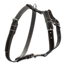 Шлея "CoLLaR" одинарна для малих та середніх собак (ширина 20мм, А:40-56см, В:57-65см) чорний