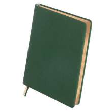 Дневник недатированый AMAZONIA Buromax. Фотмат А5, 320 листов. Зелёный