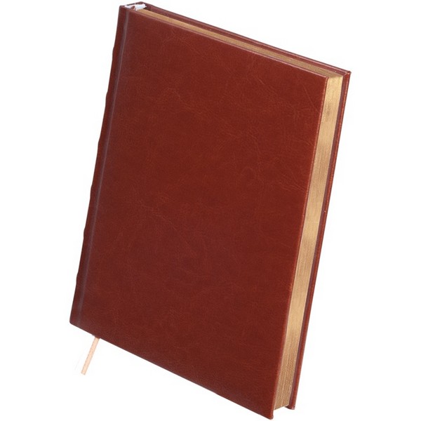 Дневник недатированый SAGA Buromax. Фотмат А5, 320 листов. Коричневый