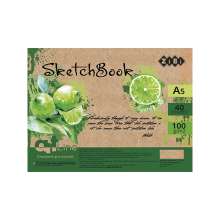 Скетчбук А5 ART Line, 40 листов, пружина, кремовый блок 100 г / м2, зеленый