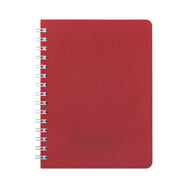 Книжка записная на пружине BuroMax "BARK" А6 60 листов в клетку | пластиковая обложка, красный